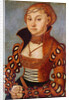 Portrait of a Noble Saxon Woman, 1534 by Lucas the Elder Cranach