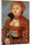 Portrait of a Noble Saxon Woman, 1534 by Lucas the Elder Cranach