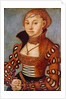 Portrait of a Noble Saxon Woman, 1534 by Lucas the Elder Cranach