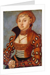 Portrait of a Noble Saxon Woman, 1534 by Lucas the Elder Cranach