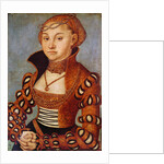 Portrait of a Noble Saxon Woman, 1534 by Lucas the Elder Cranach