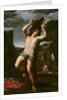 The Martyrdom of Saint Sebastian by Annibale Carracci