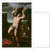 The Martyrdom of Saint Sebastian by Annibale Carracci