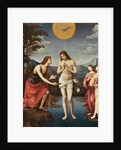 The Baptism of Christ by Il Francia