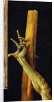 The Isenheim Altarpiece, closed, c.1512-16 by Matthias Grunewald