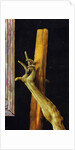 The Isenheim Altarpiece, closed, c.1512-16 by Matthias Grunewald