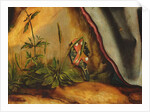 Visit of Saint Anthony to Saint Paul the hermit Detail of the crest of Guido Gersi from the Isenheim altarpiece, c.1512-16 by Matthias Grunewald