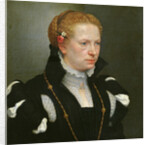 Portrait of Lucia Vertova Agosti by Giovanni Battista Moroni