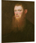 Portrait of a bearded man, thought to be Lorenzo Soranzo by Jacopo Robusti Tintoretto