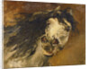 Head of a Horse by Alfred Roll