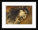 Head of a Horse by Alfred Roll