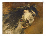 Head of a Horse by Alfred Roll