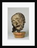 Head of Christ by French School