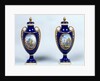 A Pair of Sèvres Vases with decorative floral medallions by French School