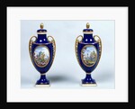 A Pair of Sèvres Vases with decorative floral medallions by French School