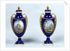 A Pair of Sèvres Vases with decorative floral medallions by French School