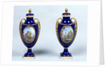 A Pair of Sèvres Vases with decorative floral medallions by French School