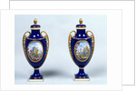 A Pair of Sèvres Vases with decorative floral medallions by French School