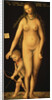 Venus and Cupid, 1509 by Lucas the Elder Cranach