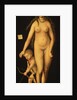 Venus and Cupid, 1509 by Lucas the Elder Cranach