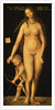Venus and Cupid, 1509 by Lucas the Elder Cranach