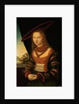 Portrait of a Woman, 1526 by Lucas the Elder Cranach