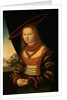 Portrait of a Woman, 1526 by Lucas the Elder Cranach