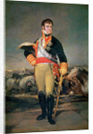King Ferdinand VII c.1814 by Francisco Jose de Goya y Lucientes