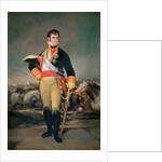 King Ferdinand VII c.1814 by Francisco Jose de Goya y Lucientes