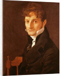 Portrait of Belvèze-Foulon, friend of the artist, 1805 by Jean Auguste Dominique Ingres