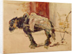 A Draft Horse at Céleyran, 1881 by Henri de Toulouse-Lautrec