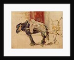 A Draft Horse at Céleyran, 1881 by Henri de Toulouse-Lautrec