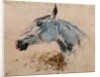 White Horse 'Gazelle', 1881 by Henri de Toulouse-Lautrec