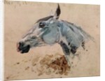 White Horse 'Gazelle', 1881 by Henri de Toulouse-Lautrec