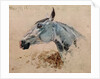 White Horse 'Gazelle', 1881 by Henri de Toulouse-Lautrec