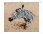 White Horse 'Gazelle', 1881 by Henri de Toulouse-Lautrec