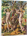 Admiranta Narratio.... Adam and Eve, 1585-1588 by Theodor de Bry
