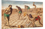 Brevis Narratio, Culture and Sowing Seeds, 1563 by Theodor de Bry