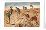 Brevis Narratio, Culture and Sowing Seeds, 1563 by Theodor de Bry