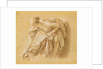 Partially Nude Woman Bathing by Francois Boucher