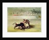 The Fall of a Picador from his Horse under a Bull by Francisco Jose de Goya y Lucientes