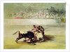 The Fall of a Picador from his Horse under a Bull by Francisco Jose de Goya y Lucientes