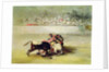 The Fall of a Picador from his Horse under a Bull by Francisco Jose de Goya y Lucientes