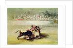 The Fall of a Picador from his Horse under a Bull by Francisco Jose de Goya y Lucientes