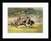 The Courageous Randon fighting a Bull by Francisco Jose de Goya y Lucientes