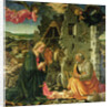The Nativity, 1465-70 by Fra Filippo Lippi