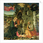 The Nativity, 1465-70 by Fra Filippo Lippi