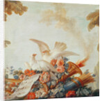 Salon of the Print-maker Gilles Demarteau, above the door: doves and sheet music, c.1750-65 by Francois Boucher
