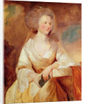 Louise Marie Adélaide of Bourbon-Penthièvre, Duchess of Orléans by Joshua Reynolds