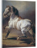 A Study of a Horse by Theodore Gericault